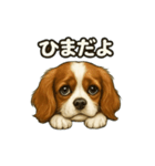 キャバリア きなこver.2（個別スタンプ：4）