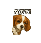 キャバリア きなこver.2（個別スタンプ：7）