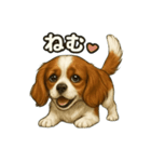 キャバリア きなこver.2（個別スタンプ：8）