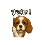 キャバリア きなこver.2（個別スタンプ：10）