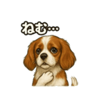 キャバリア きなこver.2（個別スタンプ：11）