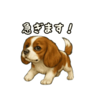 キャバリア きなこver.2（個別スタンプ：15）