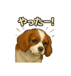 キャバリア きなこver.2（個別スタンプ：16）