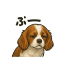 キャバリア きなこver.2（個別スタンプ：19）