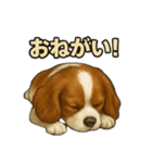 キャバリア きなこver.2（個別スタンプ：21）