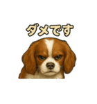 キャバリア きなこver.2（個別スタンプ：22）