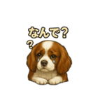 キャバリア きなこver.2（個別スタンプ：25）