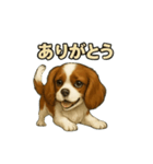 キャバリア きなこver.2（個別スタンプ：26）