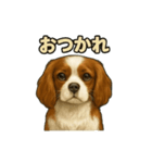 キャバリア きなこver.2（個別スタンプ：27）