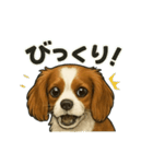 キャバリア きなこver.2（個別スタンプ：28）