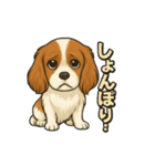 キャバリア きなこver.2（個別スタンプ：30）