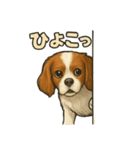 キャバリア きなこver.2（個別スタンプ：32）