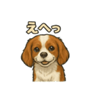 キャバリア きなこver.2（個別スタンプ：33）