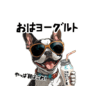 ロックでダジャレなボストンテリア（個別スタンプ：11）