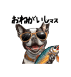 ロックでダジャレなボストンテリア（個別スタンプ：13）