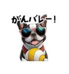 ロックでダジャレなボストンテリア（個別スタンプ：16）