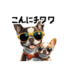 ロックでダジャレなボストンテリア（個別スタンプ：18）