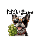 ロックでダジャレなボストンテリア（個別スタンプ：27）