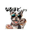 ロックでダジャレなボストンテリア（個別スタンプ：30）