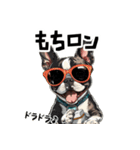 ロックでダジャレなボストンテリア（個別スタンプ：35）
