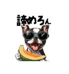 ロックでダジャレなボストンテリア（個別スタンプ：39）