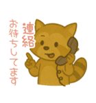敬語のアライグマのスタンプ（個別スタンプ：9）