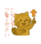 敬語のアライグマのスタンプ（個別スタンプ：11）