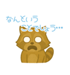 敬語のアライグマのスタンプ（個別スタンプ：14）