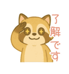 敬語のアライグマのスタンプ（個別スタンプ：36）