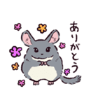 チンチラです。（個別スタンプ：1）