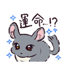 チンチラです。（個別スタンプ：4）