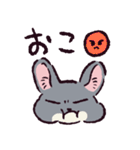 チンチラです。（個別スタンプ：5）