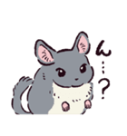 チンチラです。（個別スタンプ：6）