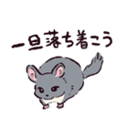 チンチラです。（個別スタンプ：8）