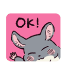 チンチラです。（個別スタンプ：13）