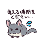 チンチラです。（個別スタンプ：14）