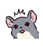 チンチラです。（個別スタンプ：16）