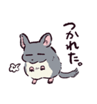 チンチラです。（個別スタンプ：18）