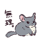 チンチラです。（個別スタンプ：25）
