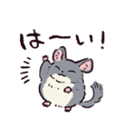 チンチラです。（個別スタンプ：28）