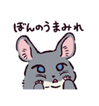 チンチラです。（個別スタンプ：29）