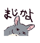 チンチラです。（個別スタンプ：34）