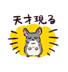 チンチラです。（個別スタンプ：35）