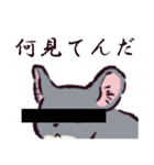 チンチラです。（個別スタンプ：39）