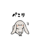 グレーのロップイヤーさん【日常使い】（個別スタンプ：14）