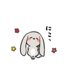 グレーのロップイヤーさん【日常使い】（個別スタンプ：16）