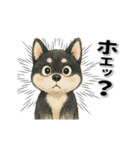 黒柴犬と動物スタンプ（個別スタンプ：17）