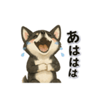 黒柴犬と動物スタンプ（個別スタンプ：20）