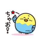 いんこまる♡楽しいスタンプ（個別スタンプ：1）