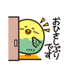 いんこまる♡楽しいスタンプ（個別スタンプ：9）